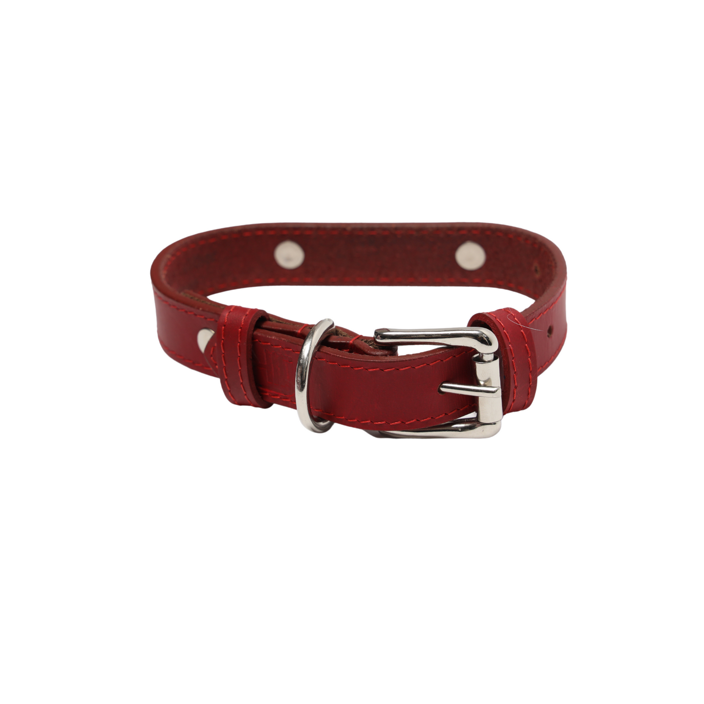 Premium Handcrafted Leather Dog Collars Raghen raghen